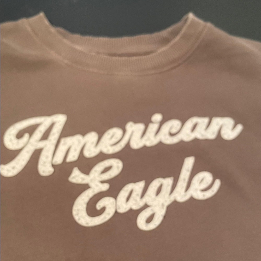 American Eagle Outfitters Taupe Sweatshirt